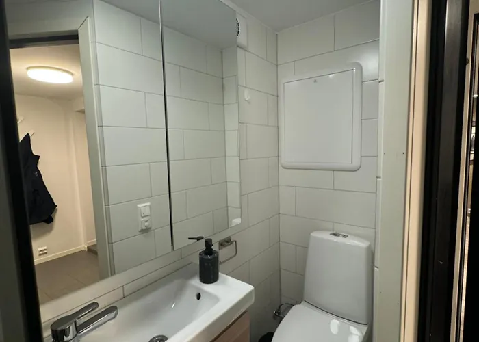 Aurora Polaris - Outdoor Sauna - Free Parking - 750m From Center *