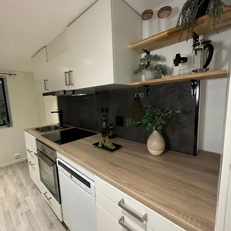 Aurora Polaris - Outdoor Sauna - Free Parking - 750m From Center Διαμέρισμα *