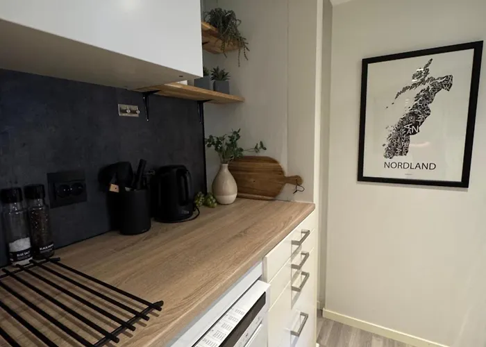 Aurora Polaris - Outdoor Sauna - Free Parking - 750m From Center *